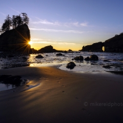Washington Coast  Second Beach Golden Sunstar To order a print please email me at  Mike Reid Photography : washington coast, oregon coast, washington beaches, oregon beaches, shi shi beach, second beach, cannon beach, seaside, sunset, sunrise, tidepools, reflections