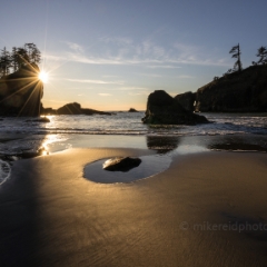 Washington Coast Sunstar Smooth Sands To order a print please email me at  Mike Reid Photography
