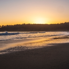 Washington Coast Third Beach Sunset Sunglow