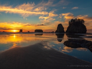 Washington and Oregon Coast Photography