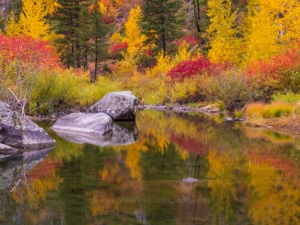 Fall and Winter Foliage Photography The changing of the seasons here in the NW causes the area to explode with Fall colors and opportunities for leaf...