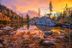 Horseshoe Lake and Stuart Range Fall Colors Tucked off in one of the far corners of the Enchantments Lakes Basin, Horseshoe Lake makes you earn your visit. The...