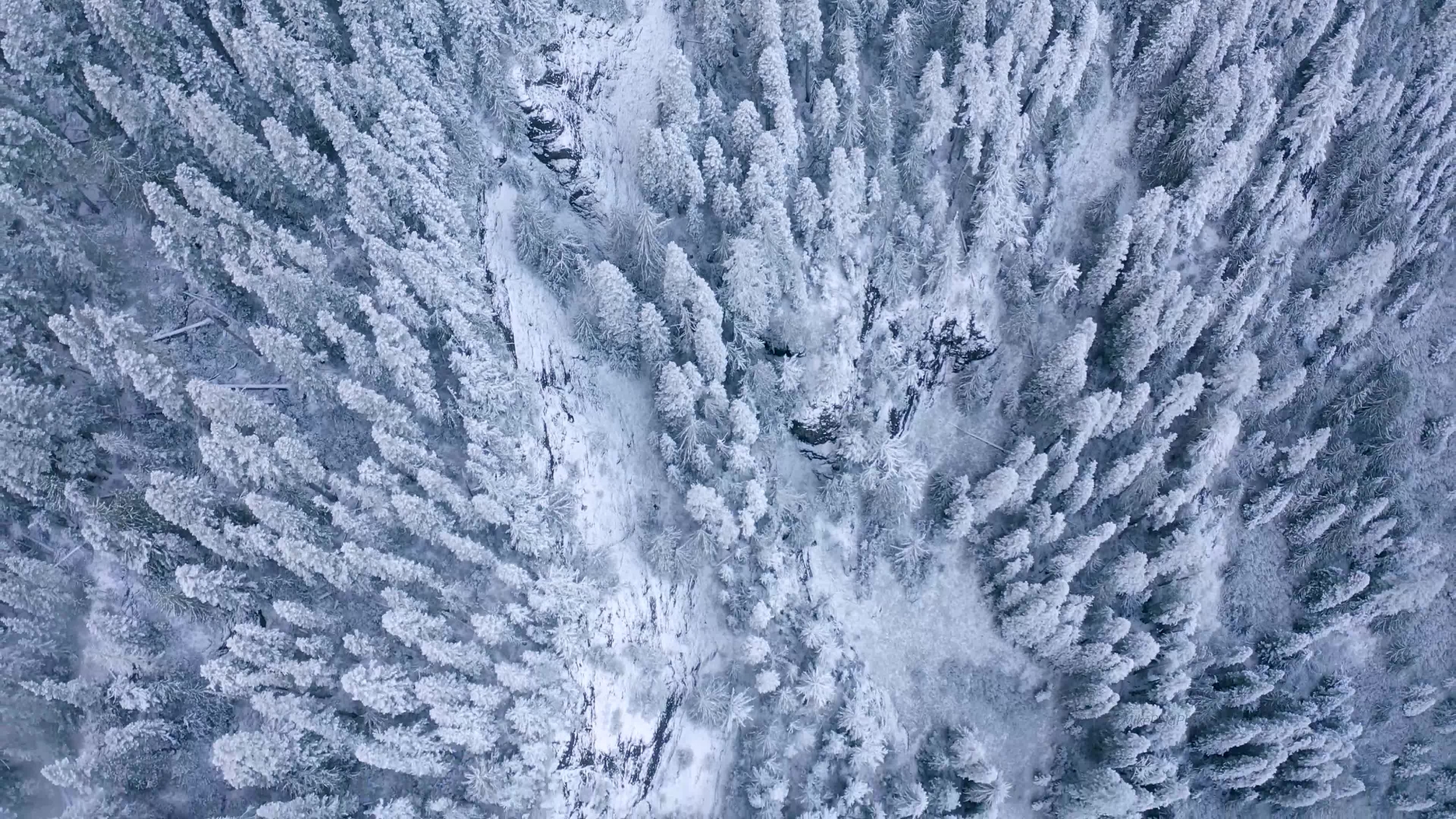 Over Washington State High Rock Lookout Snow Forest.mp4 