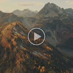 Heather Pass Larches.mp4