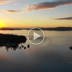 Northwest Aerial Photography Anacortes Ferry Dock Sunset.mp4