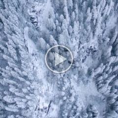 Over Washington State High Rock Lookout Snow Forest.mp4