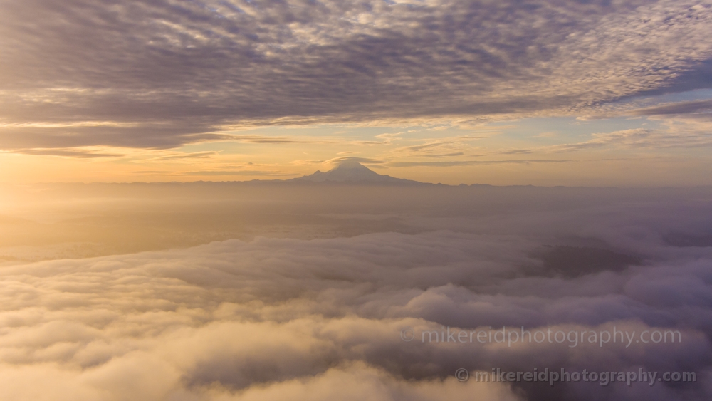 Mount Rainier on the Clouds Golden Light.jpg