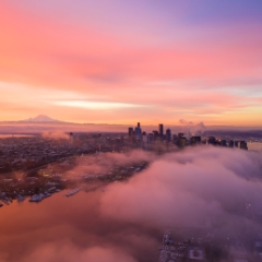 Over Seattle Dawn Colors Above the Fog  #seattle #dronephotography #dronevideo #aerial #aerialphotography #aerialvideo #northwest #washingtonstate To order a print please email me at  Mike Reid Photography : seattle, sky view observatory, svo, zeiss lenses, columbia center, urban, sunrise, fog, sunset, puget sound, elliott bay, space needle, northwest, washington, rainier, aerial, a7r, alr2, seattle aerial photography, northwest aerial photography, university of washington, alki, seattle photography, drone photography