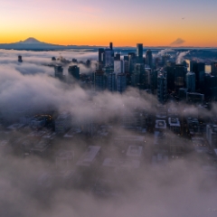 Over Seattle Downtown Sunrise Fog Motion Aerial Photography  #seattle #dronephotography #dronevideo #aerial #aerialphotography #aerialvideo #northwest #washingtonstate To order a print please email me at  Mike Reid Photography : seattle, sky view observatory, svo, zeiss lenses, columbia center, urban, sunrise, fog, sunset, puget sound, elliott bay, space needle, northwest, washington, rainier, aerial, a7r, alr2, seattle aerial photography, northwest aerial photography, university of washington, alki, seattle photography