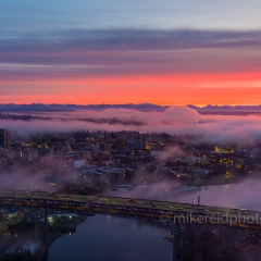 Over Seattle Freeway Traffic in the Fog at Sunrise.jpg To order a print please email me at  Mike Reid Photography : seattle, sky view observatory, svo, zeiss lenses, columbia center, urban, sunrise, fog, sunset, puget sound, elliott bay, space needle, northwest, washington, rainier, aerial, a7r, seattle aerial photography, northwest aerial photography, university of washington, alki, seattle photography