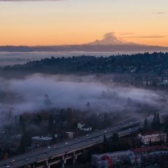 Over Seattle Morning Fog Over Capitol Hill  #seattle #dronephotography #dronevideo #aerial #aerialphotography #aerialvideo #northwest #washingtonstate To order a print please email me at  Mike Reid Photography : seattle, sky view observatory, svo, zeiss lenses, columbia center, urban, sunrise, fog, sunset, puget sound, elliott bay, space needle, northwest, washington, rainier, aerial, a7r, alr2, seattle aerial photography, northwest aerial photography, university of washington, alki, seattle photography