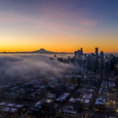 Over Seattle Sunrise Fog Motion Aerial Photography  #seattle #dronephotography #dronevideo #aerial #aerialphotography #aerialvideo #northwest #washingtonstate To order a print please email me at  Mike Reid Photography : seattle, sky view observatory, svo, zeiss lenses, columbia center, urban, sunrise, fog, sunset, puget sound, elliott bay, space needle, northwest, washington, rainier, aerial, a7r, alr2, seattle aerial photography, northwest aerial photography, university of washington, alki, seattle photography