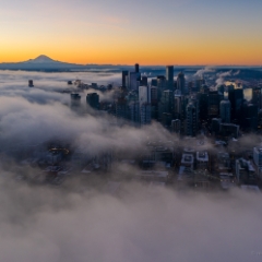 Over Seattle Sunrise Fog Motion and Mount Rainier Aerial Photography  #seattle #dronephotography #dronevideo #aerial #aerialphotography #aerialvideo #northwest #washingtonstate To order a print please email me at  Mike Reid Photography : seattle, sky view observatory, svo, zeiss lenses, columbia center, urban, sunrise, fog, sunset, puget sound, elliott bay, space needle, northwest, washington, rainier, aerial, a7r, alr2, seattle aerial photography, northwest aerial photography, university of washington, alki, seattle photography