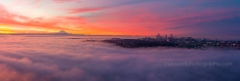 Over Seattle on a Cloud Panorama Sunrise.jpg  Aerial views over Seattle and surroundings in these unique video and photographic perspectives. To arrange a custom Seattle aerial photography tour, please contacct me. #seattle To order a print please email me at  Mike Reid Photography : seattle, sky view observatory, svo, zeiss lenses, columbia center, urban, sunrise, fog, sunset, puget sound, elliott bay, space needle, northwest, washington, rainier, aerial, a7r, seattle aerial photography, northwest aerial photography, university of washington, alki, seattle photography