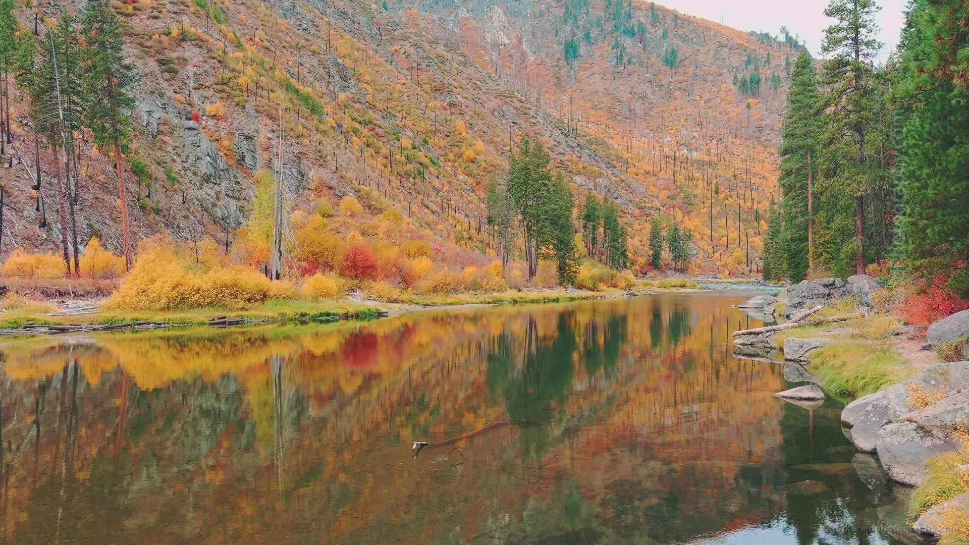 Aerial Tranquility Tumwater Canyon Fall Colors Video Part2