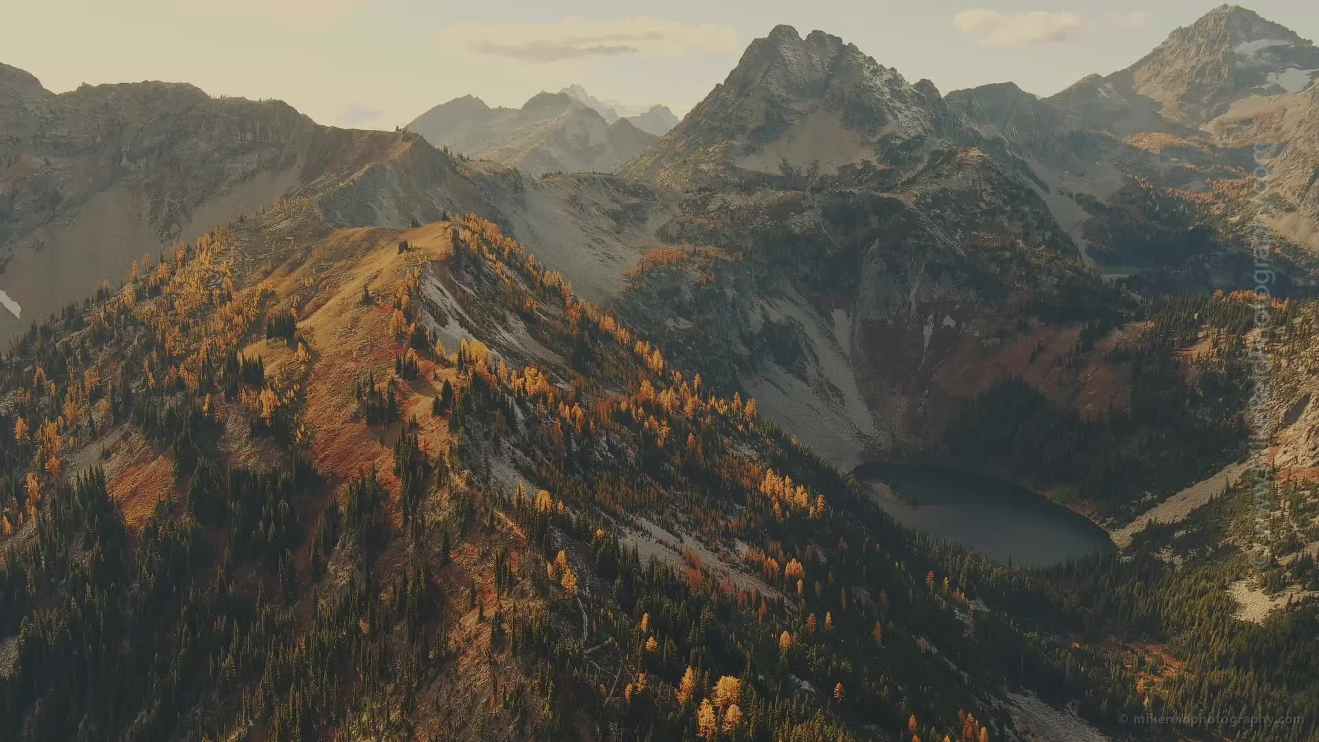 Heather Pass Larches