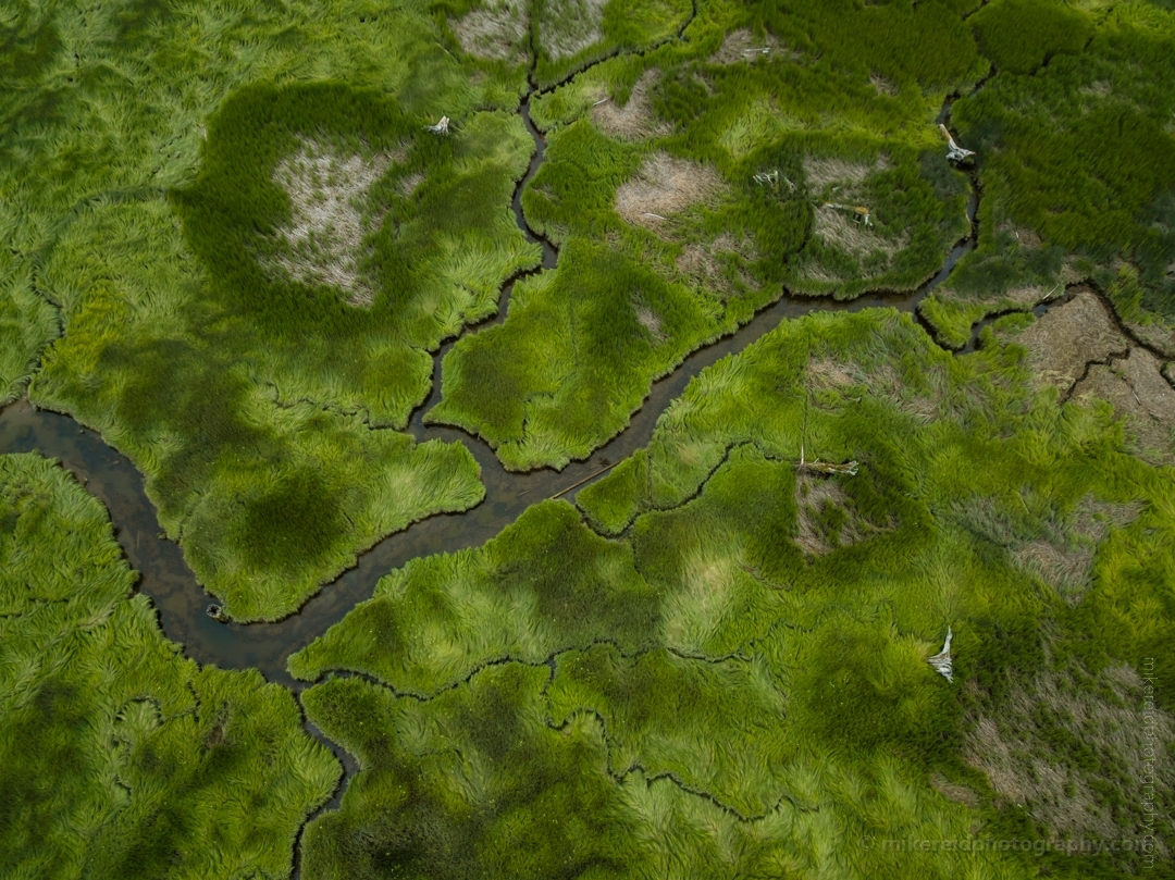 Northwest Aerial Photography Green Tideflats Rivers Wandering.jpg 