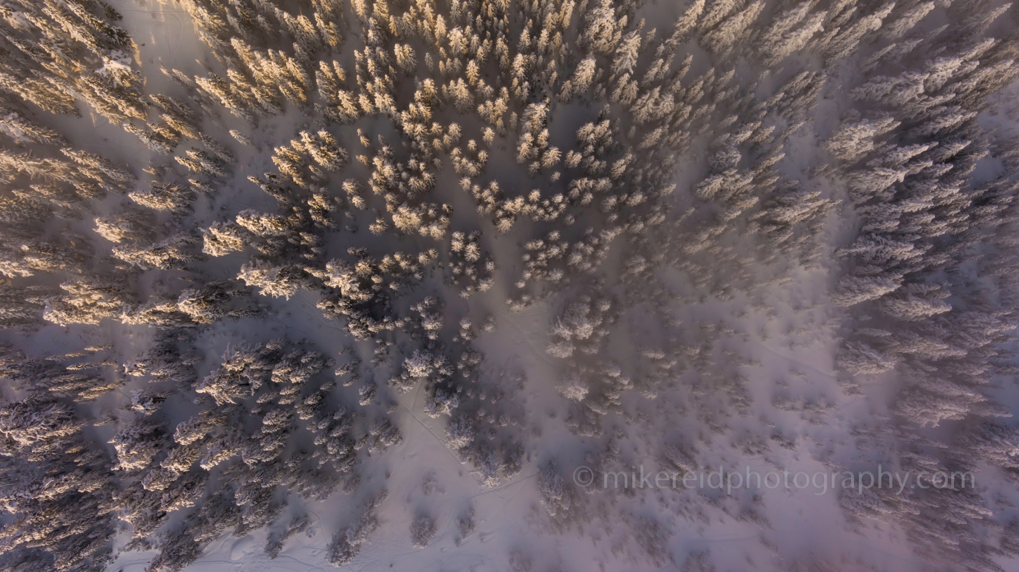 Northwest Aerial Photography Over Stevens Pass Misty Forest.jpg