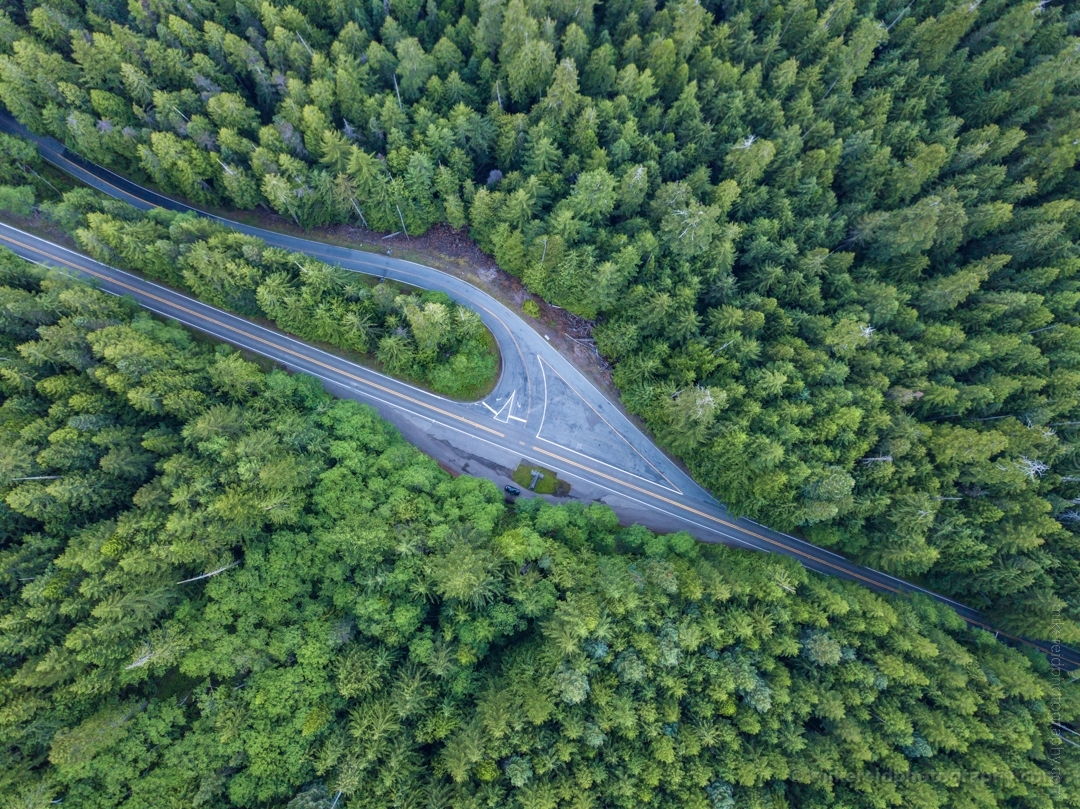 Northwest Aerial Photography Road Fork in the Trees