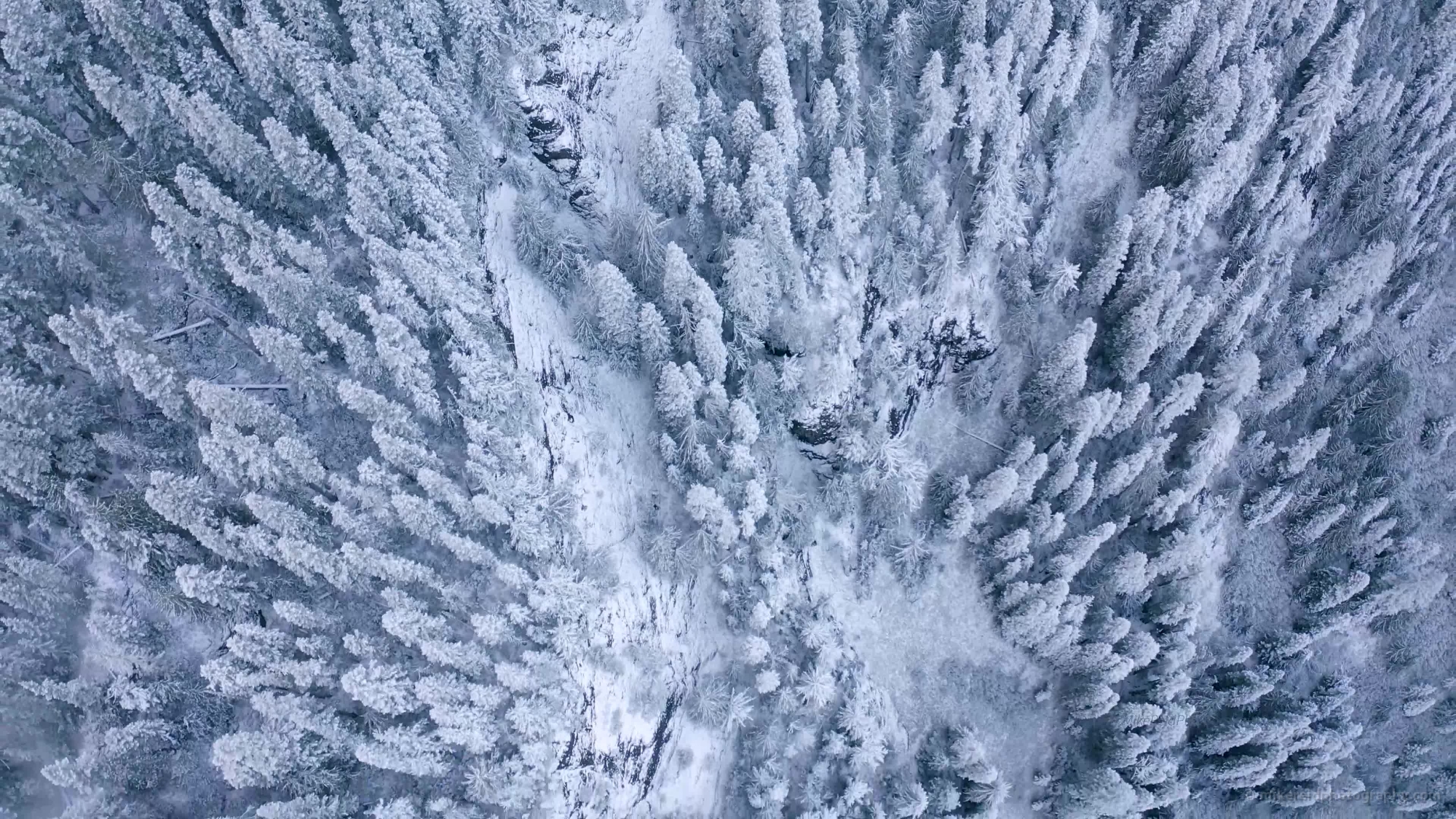 Over Washington State High Rock Lookout Snow Forest