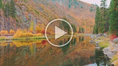 Aerial Tranquility Tumwater Canyon Fall Colors Video Part2.mp4