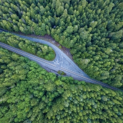 Northwest Aerial Photography Road Fork in the Trees.jpg