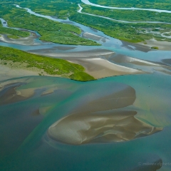 Northwest Aerial Photography Tidelands and Marsh Patterns.jpg