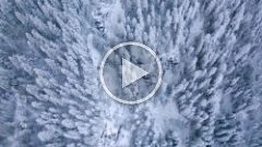 Over Washington State High Rock Lookout Snow Forest.mp4
