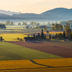 Over the Skagit Valley Fields and Mist To order a print please email me at  Mike Reid Photography : northwest, washington, Mount rainier, Mount Baker, aerial, drone, drone photography, dji, dji inspire, seattle aerial photography, northwest aerial photography, Skagit, Washington state, landscape photograpy, aerial photography