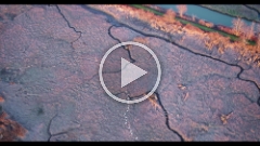 Skagit Video Over a Formation of Birds Estuary.mp4