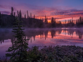 Mount Rainier Photography Reflection Lakes Sunrise Details.jpg