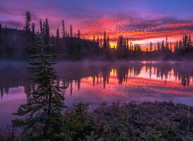 Mount Rainier Photography Reflection Lakes Sunrise Mist.jpg