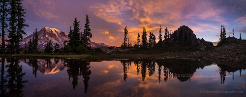 Rainier Wide Sunrise Reflection Pano.jpg The Reflection Lakes area of Mount Rainier National Park has abundant opportunities to capture clear reflections of the Mountain. Contact me for custom...