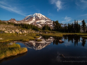 Mount Rainier Spray Park Photography