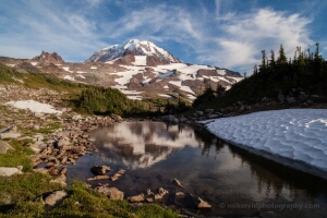 Rainier Spray Park Landscape