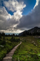 Spray Park Trail Meadows