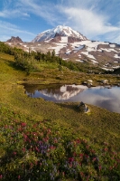 Spray Park Vertical Meadows