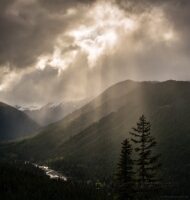 Rainier Photography White River Sunrays.jpg