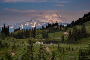 Naches Loop Flowers Naches Loop Flowers