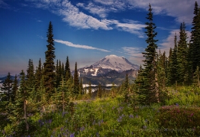 Naches Loop Rainier Naches Loop Rainier