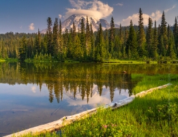 Mount Rainier Photography Reflection Lakes Log.jpg