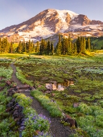 Mount Rainier Photography Trail to Rainier.jpg