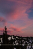 Mazama Ridge Sunset – Mount Rainier National Park Brilliant pink and violet clouds drift above snow-covered Mazama Ridge at Mount Rainier National Park as day fades into twilight. The alpine evergreens and soft...
