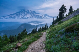 Morning Wildflowers on the Trail to Pinnacle Saddle – Mount Rainier National Park A serene alpine trail winds through vibrant wildflowers toward Pinnacle Saddle in Mount Rainier National Park, framed by layers of mist and the majestic...