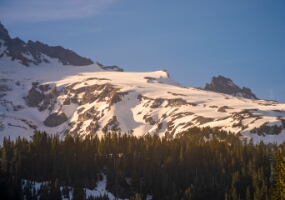 Golden Light on the Muir Snowfield – Mount Rainier National Park Evening sunlight sweeps across the Muir Snowfield on the southern slopes of Mount Rainier, revealing layers of snow, rock, and glacier under a soft alpine glow....