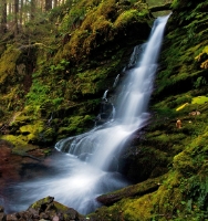 Angel Falls