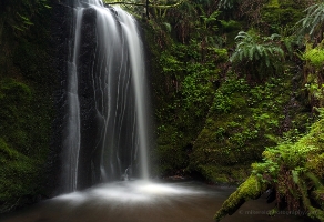 Delicate Falls Peaceful