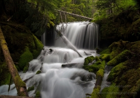 Faerie Falls Pano