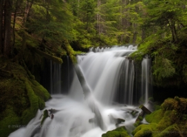 Faerie Falls Washington Relatively hidden along a dusty forest road, this fall is probably my all time favorite. So delicate and surrounded by moss and ferns.