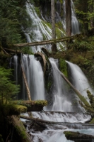 Panther Creek Falls Long View